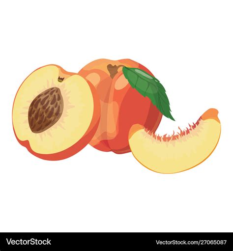 Cartoon Peach A Peach In A Cut A Royalty Free Vector Image
