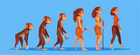How Did Humans Evolve A Complete Guide To Human Evolution