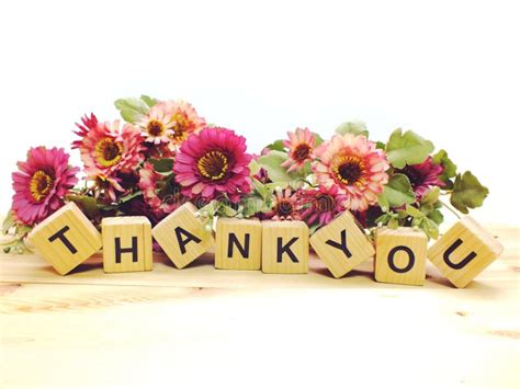 6075 Thank You Flowers Stock Photos Free And Royalty Free Stock Photos