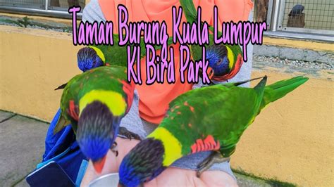 Kota kuala lumpur banyak dikunjungi wisatawan internasional sepanjang tahun karena terdapat banyak sebagian burung yang ada di sini berasal dari malaysia, hanya sekitar 10 persen saja yang berasal dari luar negeri. Taman Burung Kuala Lumpur ( KL Bird Park) - YouTube