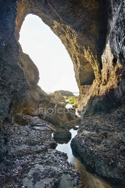 New Zealand Golden Bay Wharariki Beach Sea Cave In The Rocks With A