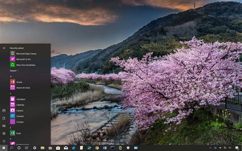 Cherry Blossoms Theme For Windows Download Pureinfotech