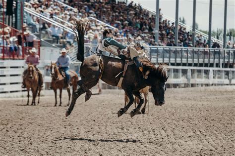 Download Rodeo Riders Show Off Their Skills