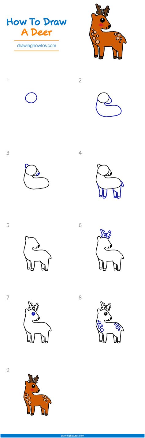 How to draw pokemon step by step. How to Draw a Deer - Step by Step Easy Drawing Guides - Drawing Howtos