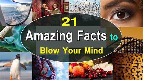 21 Amazing Facts To Blow Your Mind Amazing Facts For People Who Can’t Get Enough Amazing