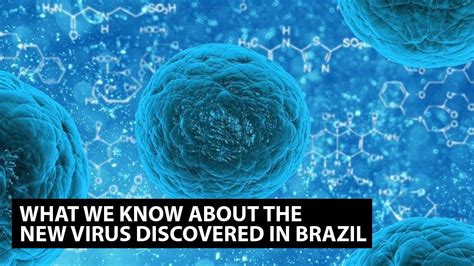 What We Know About The Latest Virus Discovered In Brazil Latest Mysterious Virus Dangerous Or