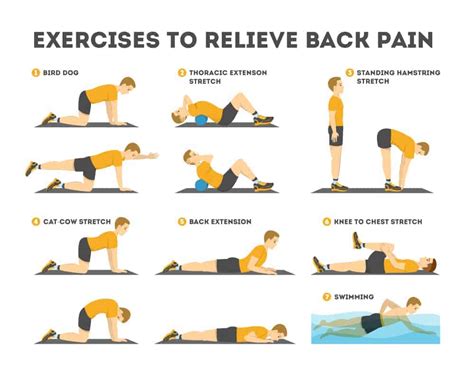 Physiotherapy Exercises For Lower Back Pain Top 11 Exercises