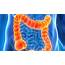 Colon Hydrotherapy  The Therapy That Even Doctors Are Recommending