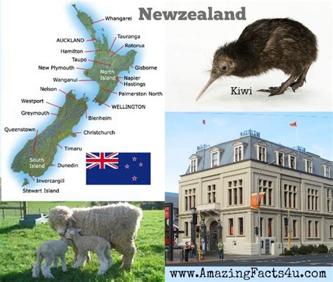 50 Facts About New Zealand Amazing Facts 4u