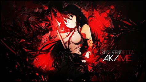 Pin De Gabriel Em Animes 3 Akame Ga Akame Ga Kill Anime