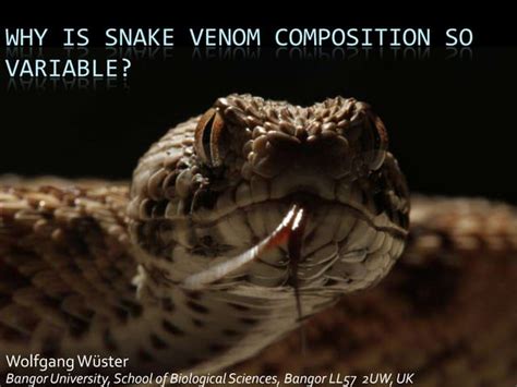 Why Is Snake Venom Composition So Variable Ppt
