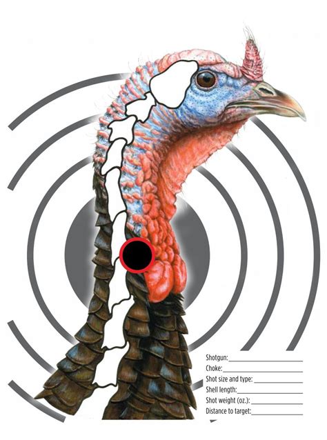 Maybe you're a homeschool parent or you're just looking for a way to supple. 4 Best Images of Printable Turkey Target Real Size - Free ...