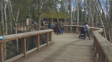 Seattles Woodland Park Zoo To Reopen July 1 With Changes Komo