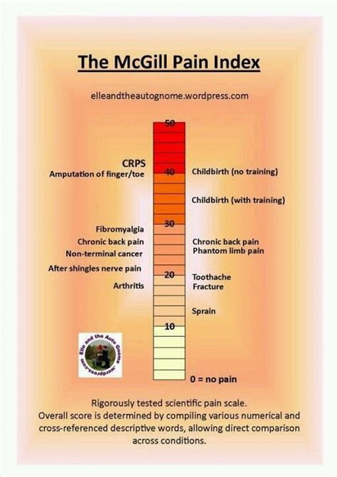 Pain Indexpain Levels For Crps And Rsd And Other Conditions That Are