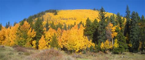 Fall Foliage Como Colorado To Boreas Pass September 25 2014