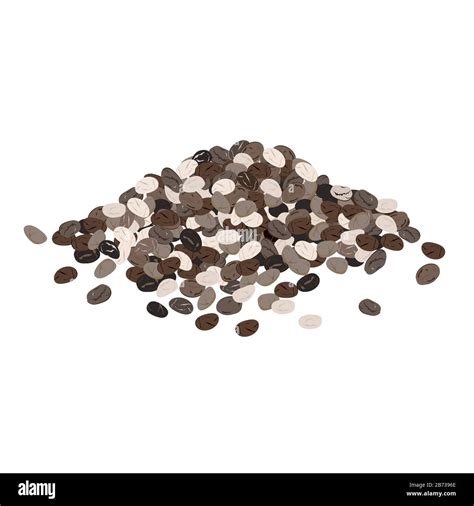 Chia Seeds Isolated On White Background Vector Illustration Stock