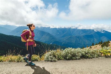Your Guide To Hurricane Ridge Trails And More In Olympic National Park