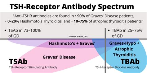 The Spectrum Of Thyroid Autoimmunity Thyroid Patients Canada