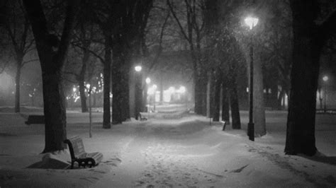 Black And White Snow  Find And Share On Giphy