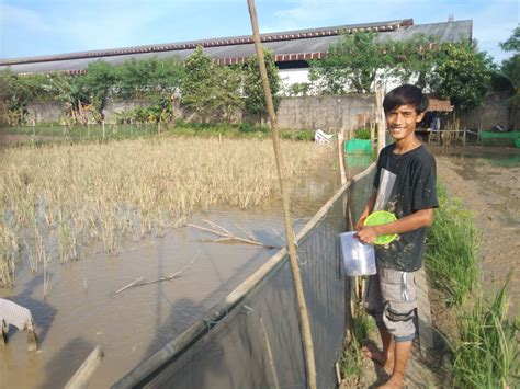 Pemuda Asal Lebak Berhasil Meraup Jutaan Rupiah Dari Budidaya Ikan Lele