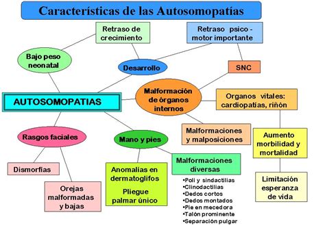 Mapas Conceptuales Sobre Cromosomopatias Y Autosomopatías Orientacion