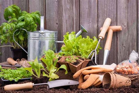Expert vegetable gardening advice covering soil health, garden layout, raised beds, composting, fertilizing, how to grow specific crops, pests and more. Favorite Tools For Vegetable Gardening - The Reid Homestead