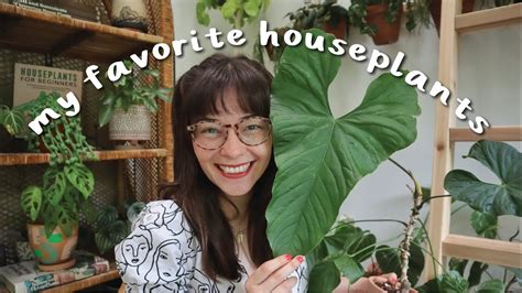 My 5 Favorite Houseplants Right Now Youtube