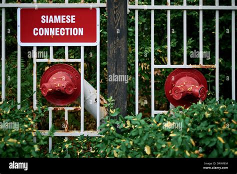 Siamese Connection Hi Res Stock Photography And Images Alamy