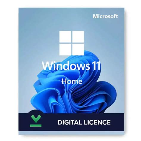Oem Windows 11 Home 1pc Activation Online Premium Digital Licenses