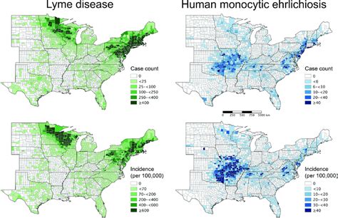 Maps Of County Level Case Counts And Incidence Of Lyme Disease And