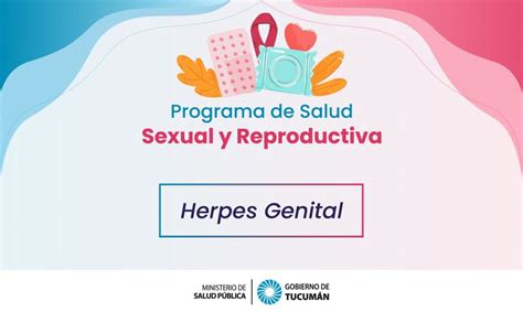 “el herpes genital es actualmente una infección de transmisión sexual bastante frecuente