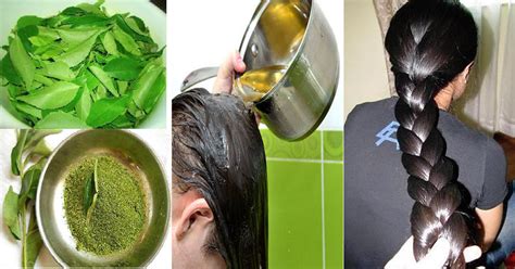 Homemade Natural Hair Growth Oil