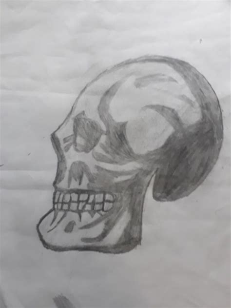 Sideways Skull Drawings Male Sketch Art