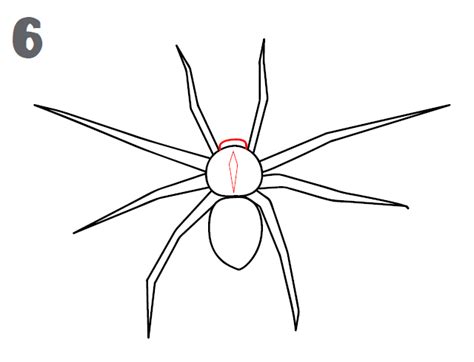 How To Draw A Spider Easy Drawing Tutorial