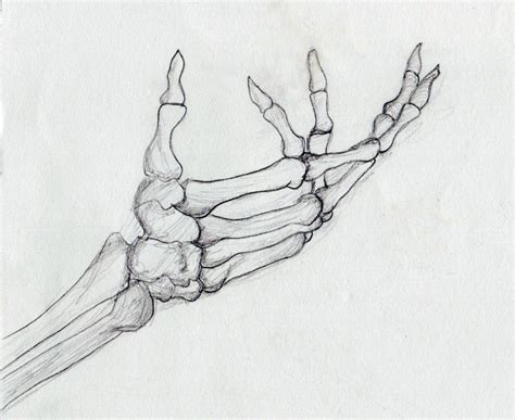 Pin By Amy Shiflett On Art With Images Skeleton Hands Drawing