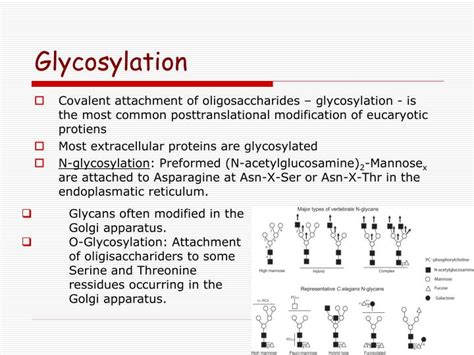 Chemical modification of proteins is a rapidly expanding area in chemical biology. PPT - Physico-chemical aspects of protein glycosylation ...