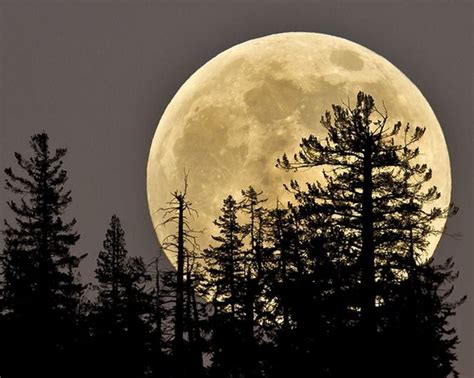 The July Full Moon Is Coming This Week Its A ‘buck Moon