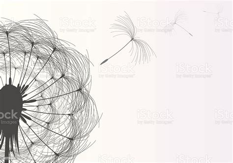 Dandelion Background Stock Illustration Download Image Now Istock