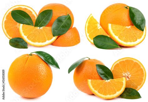 Oranges On White Background Stock Photo Adobe Stock