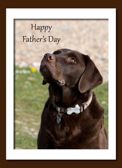 Fathers Day Dog Card Free Stock Photo Public Domain Pictures