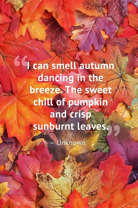 Pin By Lisa Davidson On Colorful Fall Leave Photos Autumn Quotes