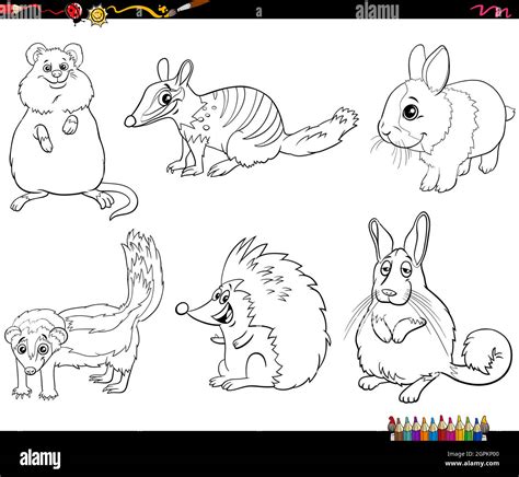 Cartoon Animals Characters Set Coloring Book Page Stock Vector Image