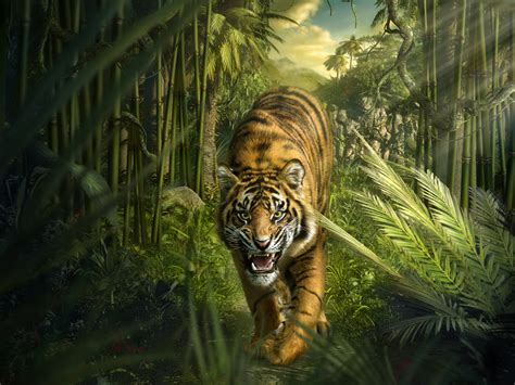Download Wallpaper For 640x960 Resolution Tiger Jungle Bamboo Hd