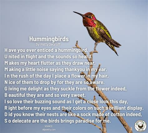 Bird Poems Hummingbirds Grateful Gnome
