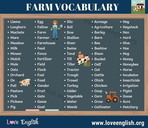 Farm Vocabulary Useful List Of 85 Farm Words In English Love English