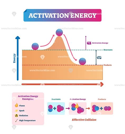 Activation energy vector illustration example diagram - VectorMine