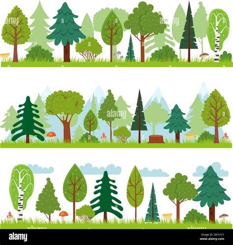 Forest landscapes. Woodland nature trees panorama, forests environment and pine tree vector ...