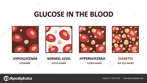 Glucose Levels In The Blood Diagram Hyperglycemia Hypoglycemia