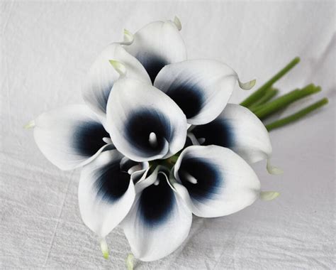 Real Touch Navy Picasso Calla Lilies For Bridal Bouquets Etsy