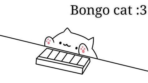 Tổng Hợp Các Clip Bongo Cat Meme Hay Nhất Mà Bạn Sẽ Muốn Xem đấy